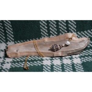 Real Cone Shell Necklace